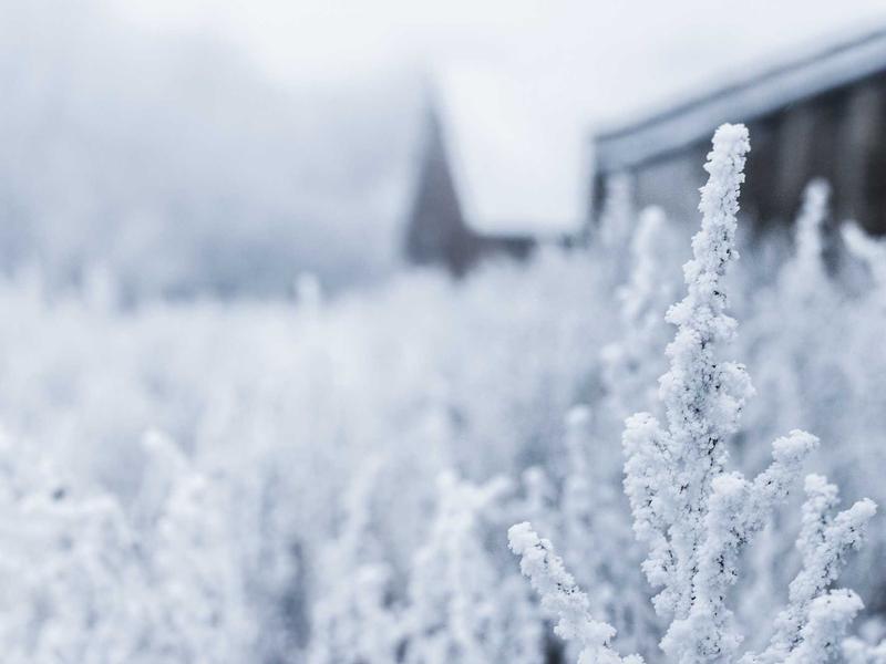 完美主义陷阱<br>qye0khhf.cn 拖延症晚期